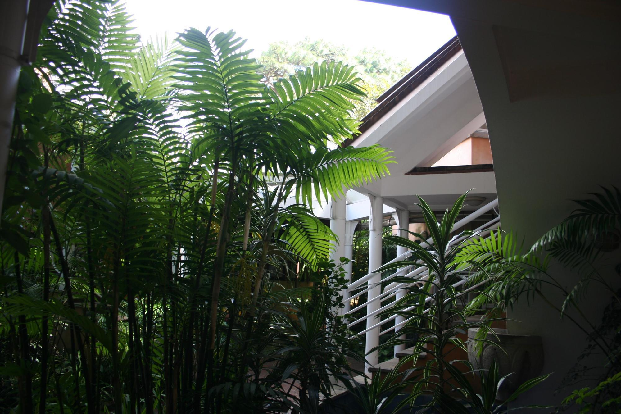 Hotel Ciudad Vieja Guatemala-Stad Buitenkant foto